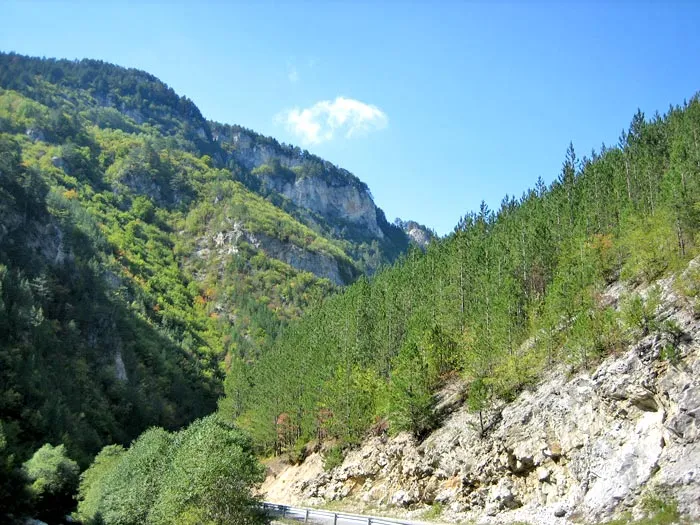 Залесено дефиле